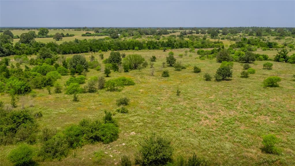 Branecky Road, Flatonia, Texas image 11