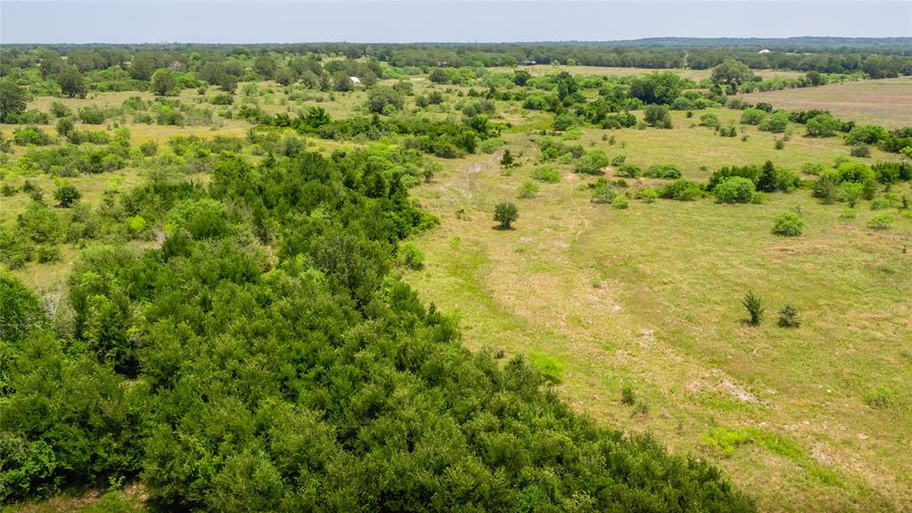 Branecky Road, Flatonia, Texas image 7