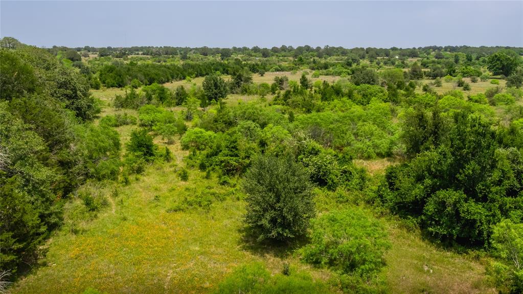 Branecky Road, Flatonia, Texas image 10