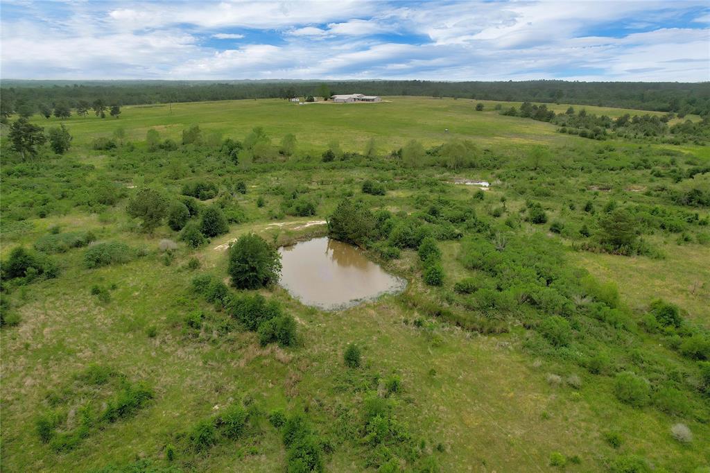 190 Dickey Loop, Bedias, Texas image 41