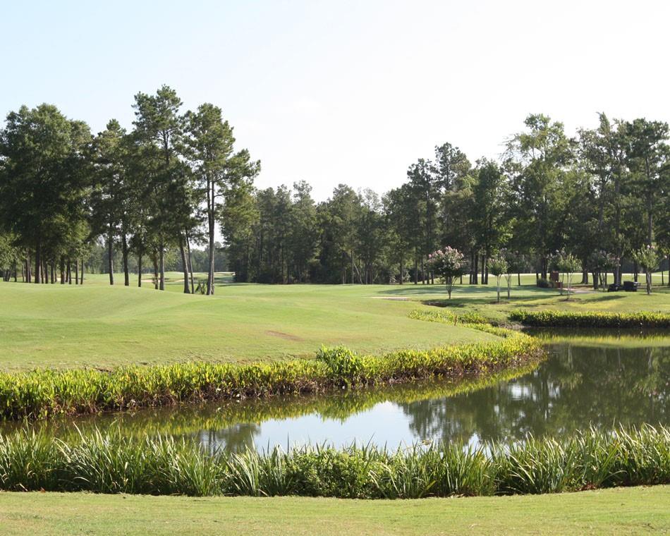 539 Oakview Bend Drive, Montgomery, Texas image 11
