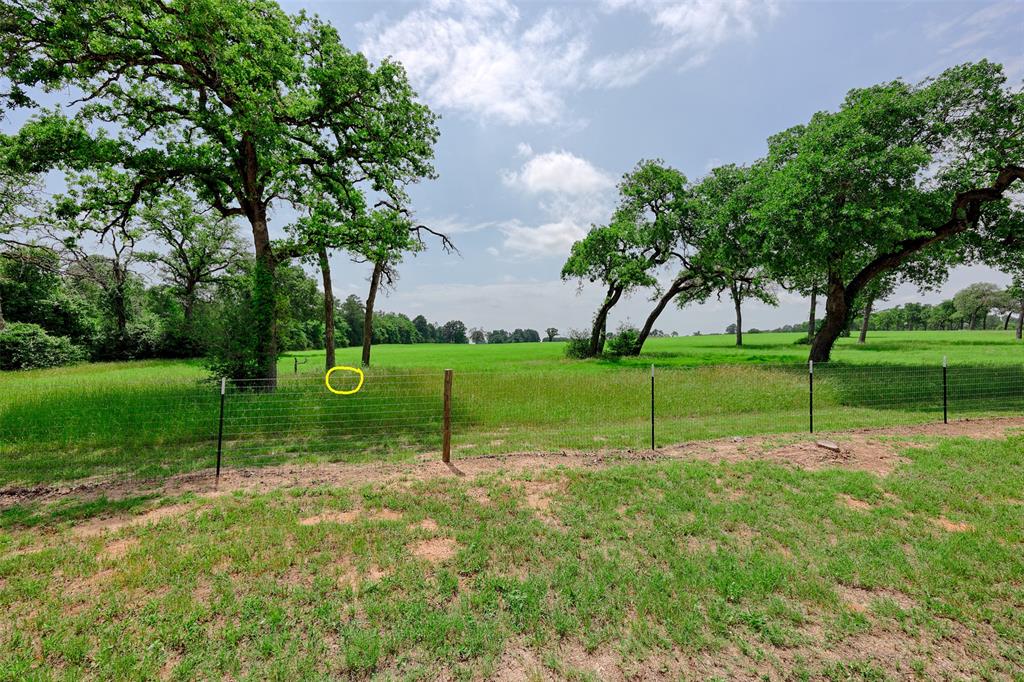 4412 County Road 306, Navasota, Texas image 1