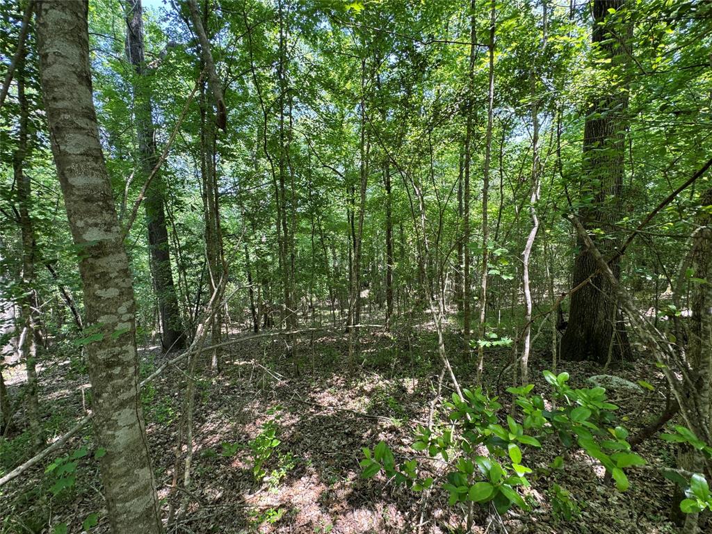 162 Moon River Trail, Goodrich, Texas image 17