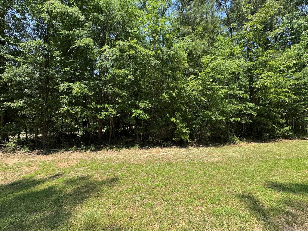 162 Moon River Trail, Goodrich, Texas image 6