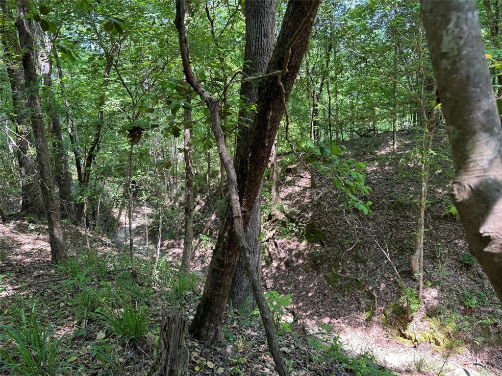 162 Moon River Trail, Goodrich, Texas image 13