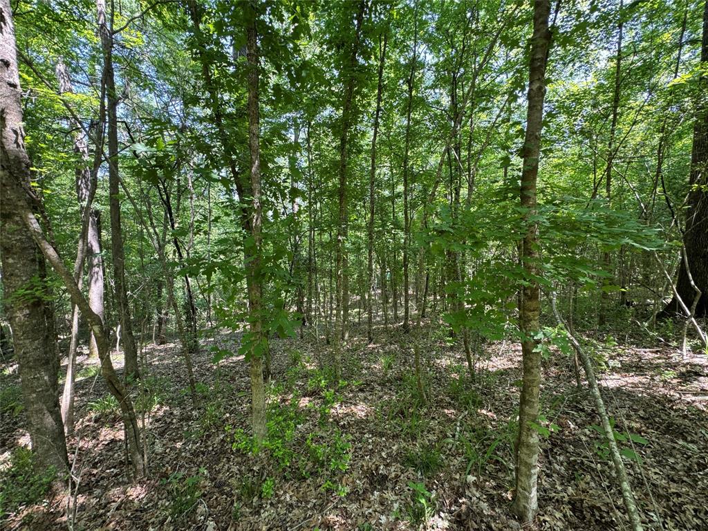 162 Moon River Trail, Goodrich, Texas image 16