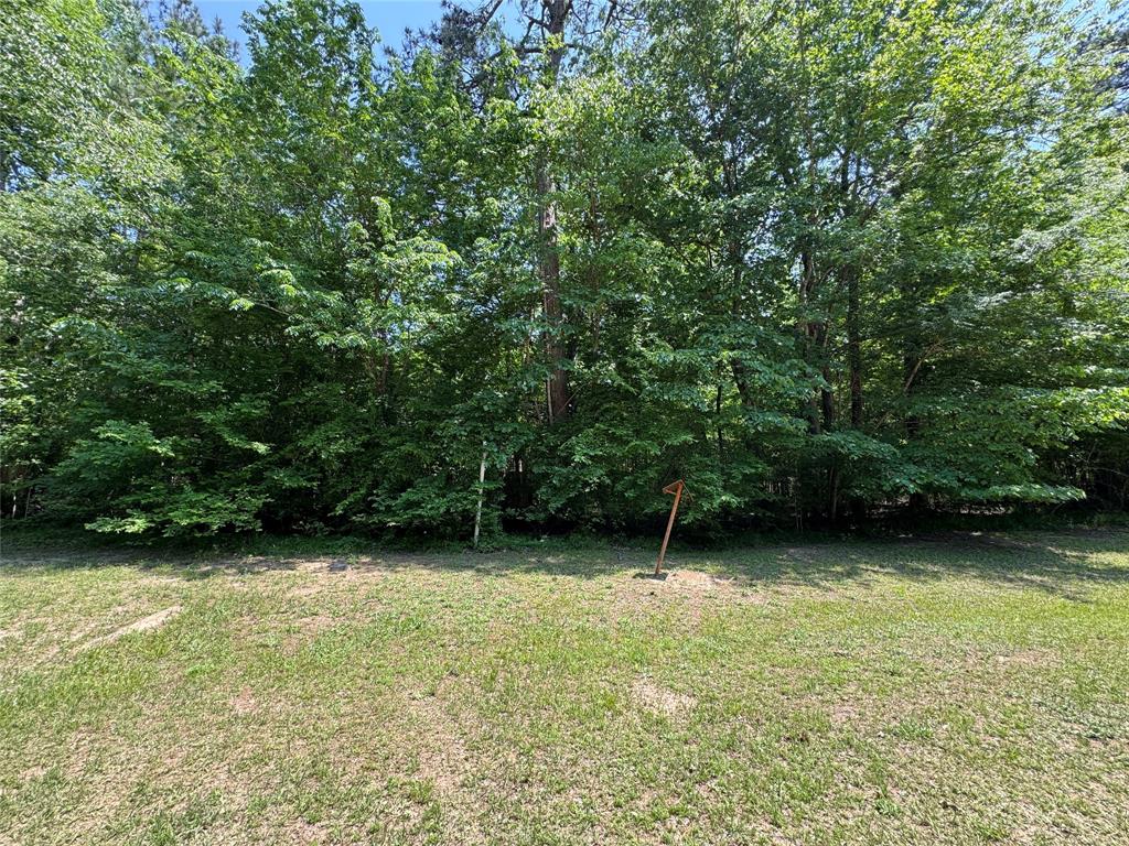 162 Moon River Trail, Goodrich, Texas image 5