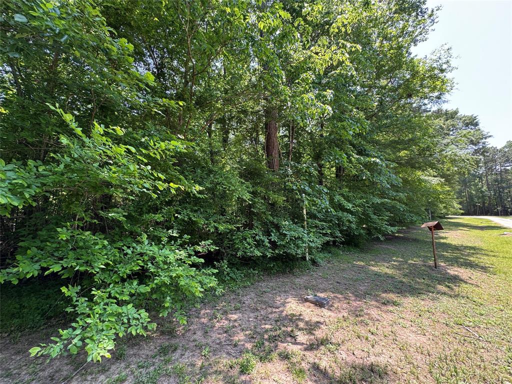 162 Moon River Trail, Goodrich, Texas image 10