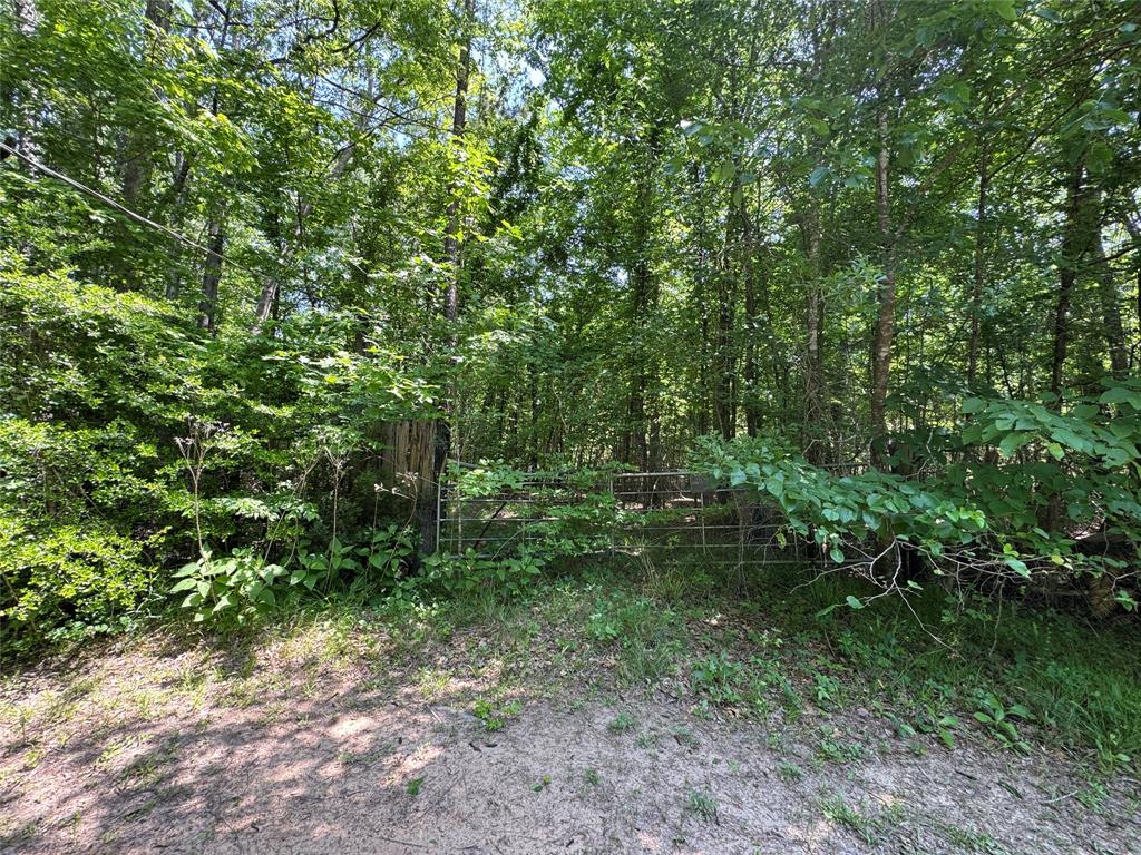 162 Moon River Trail, Goodrich, Texas image 11