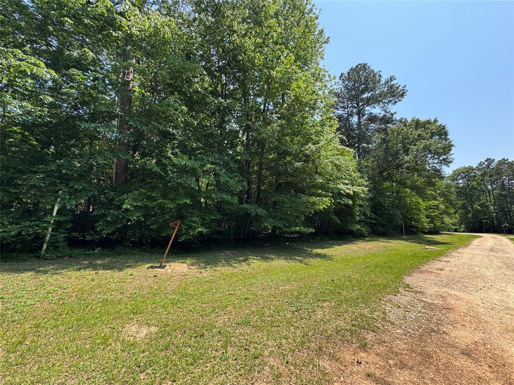 162 Moon River Trail, Goodrich, Texas image 7