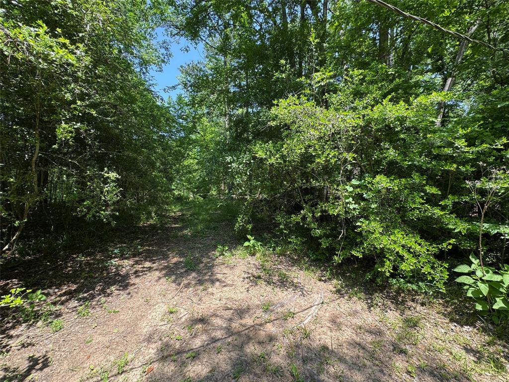 162 Moon River Trail, Goodrich, Texas image 12