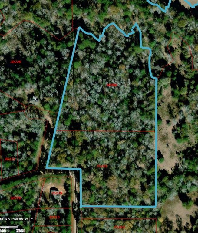 162 Moon River Trail, Goodrich, Texas image 2