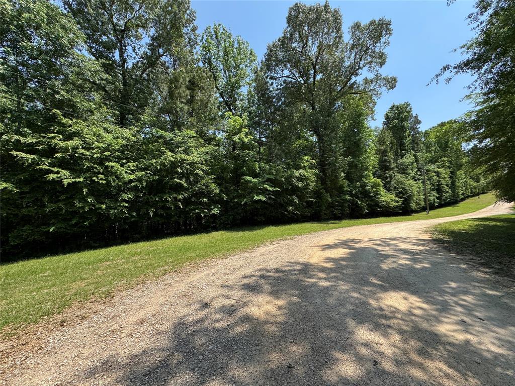 162 Moon River Trail, Goodrich, Texas image 8