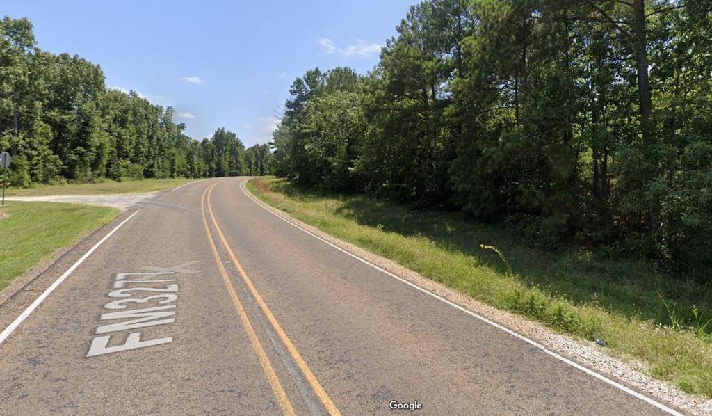 Bankside St, Livingston, Texas image 1
