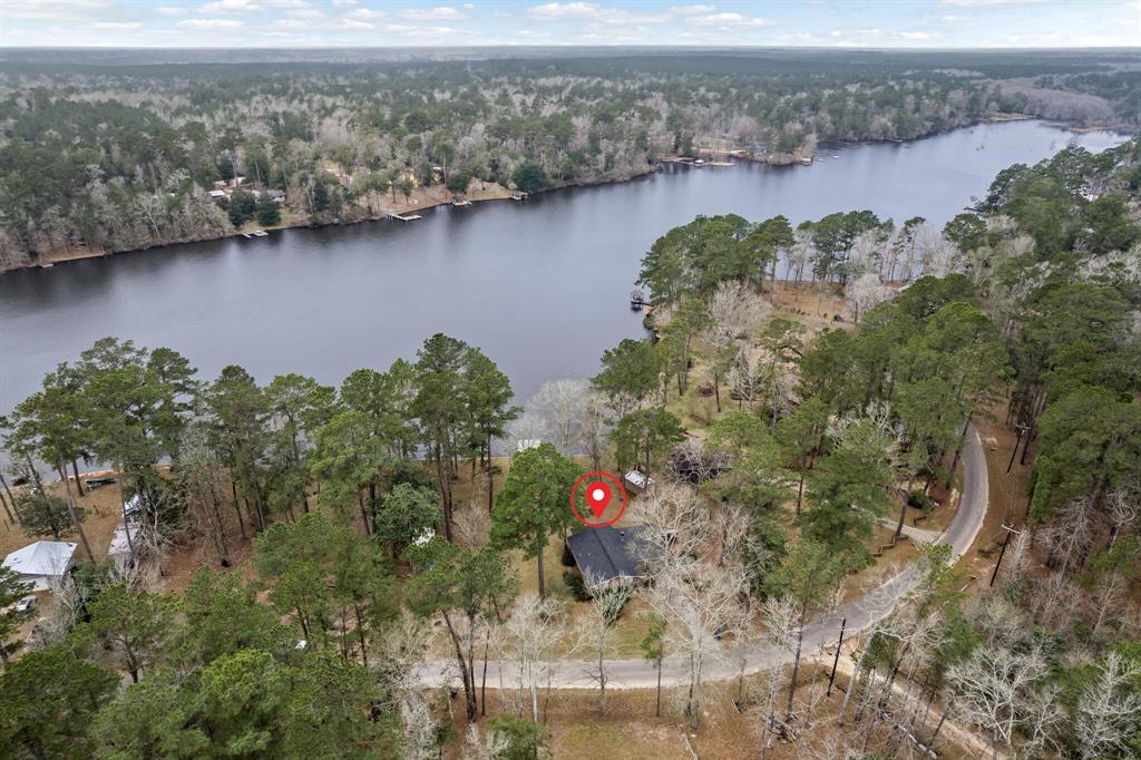 439 Sherwood Forest Drive, Ivanhoe, Texas image 31