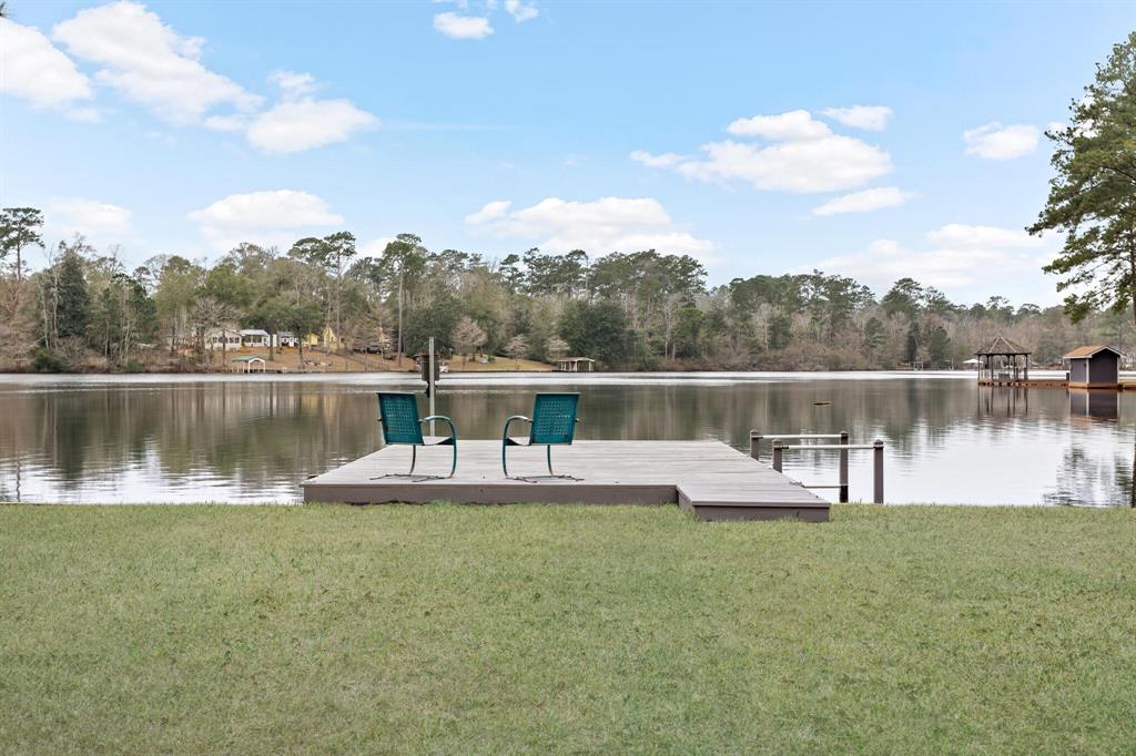 439 Sherwood Forest Drive, Ivanhoe, Texas image 26