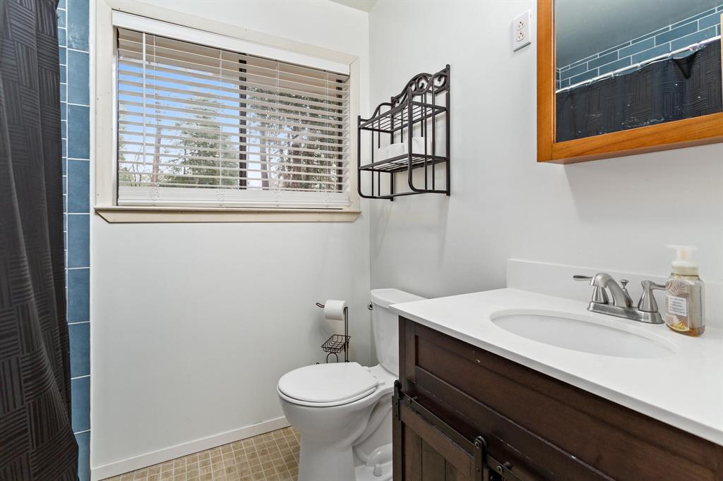 439 Sherwood Forest Drive, Ivanhoe, Texas image 14