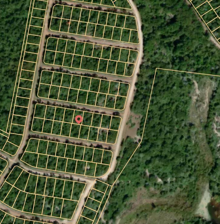 Lot 14 Ellis Lane, Normangee, Texas image 3