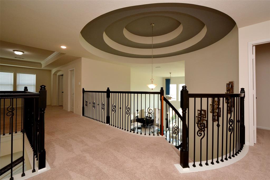 15218 Wild Plum Thicket Lane, Cypress, Texas image 22