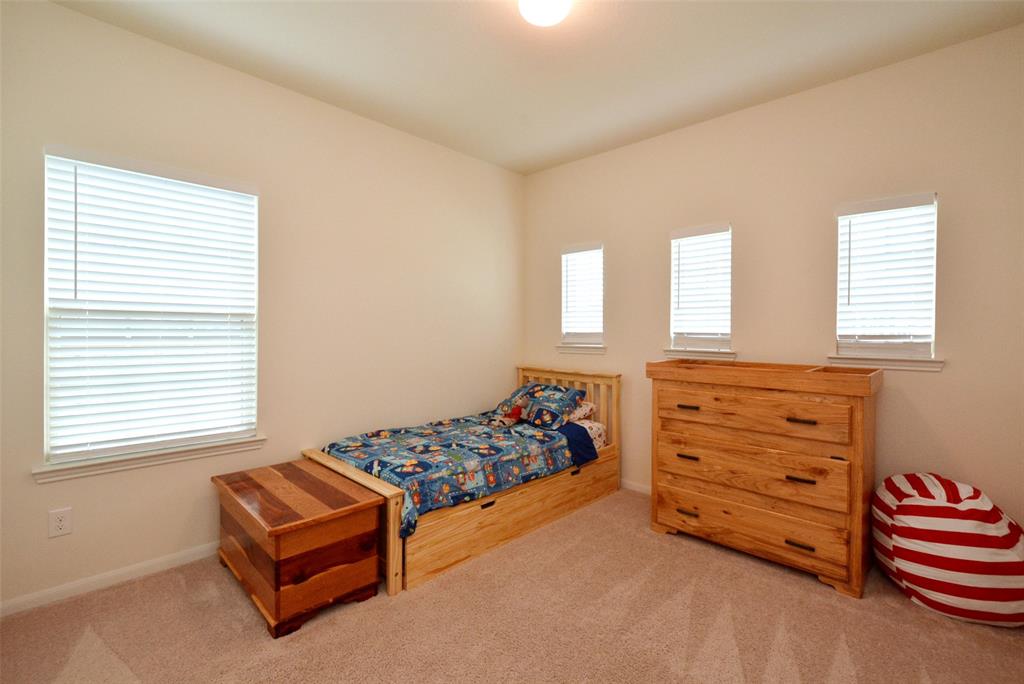 15218 Wild Plum Thicket Lane, Cypress, Texas image 29