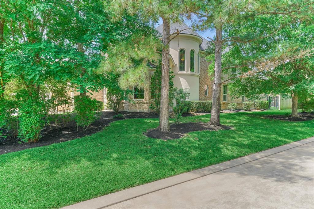 2 S Garnet Bend, The Woodlands, Texas image 4