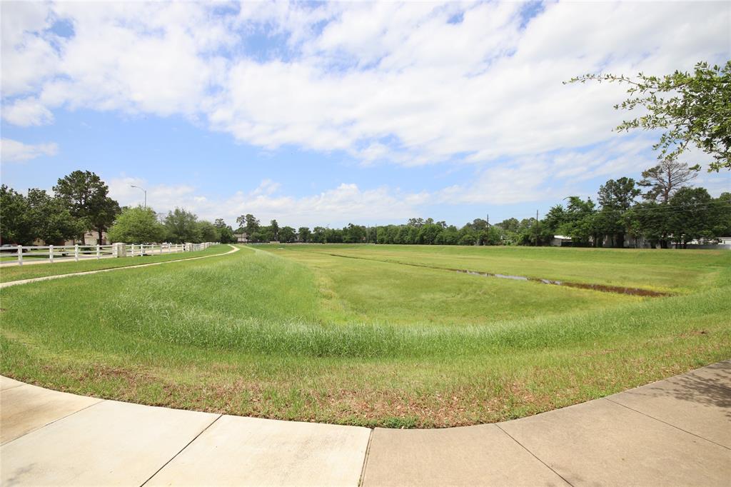 22034 Holly Branch Drive, Tomball, Texas image 6