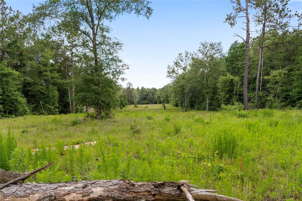4578 N Duck Creek Road, Cleveland, Texas image 10