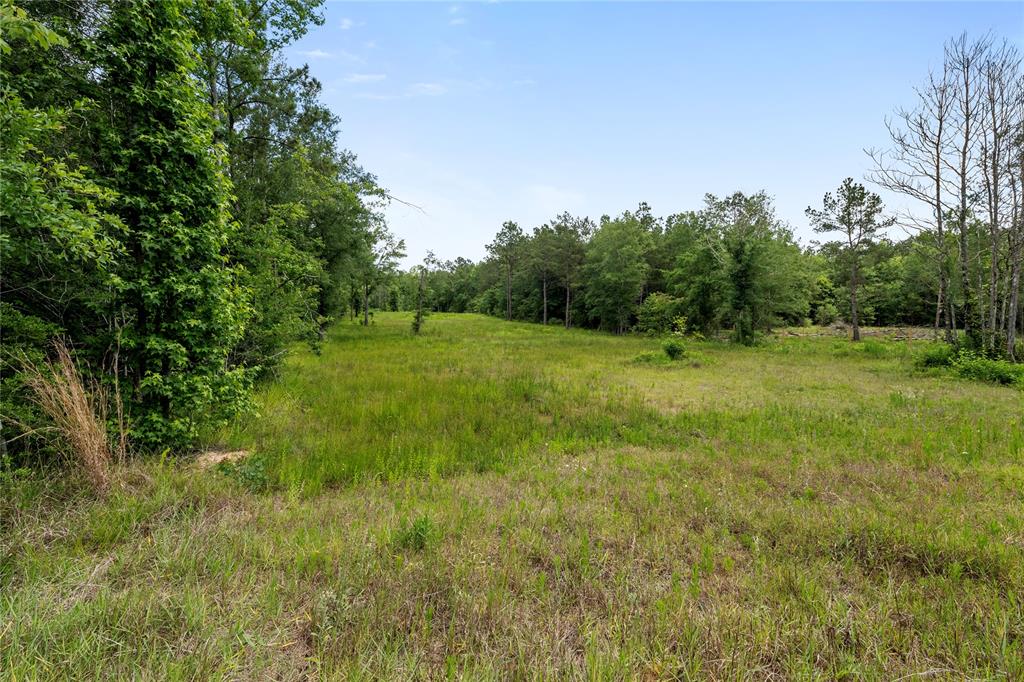 4578 N Duck Creek Road, Cleveland, Texas image 8