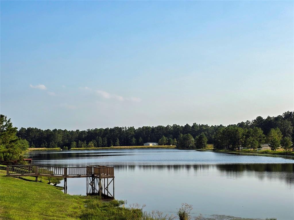 4578 N Duck Creek Road, Cleveland, Texas image 21