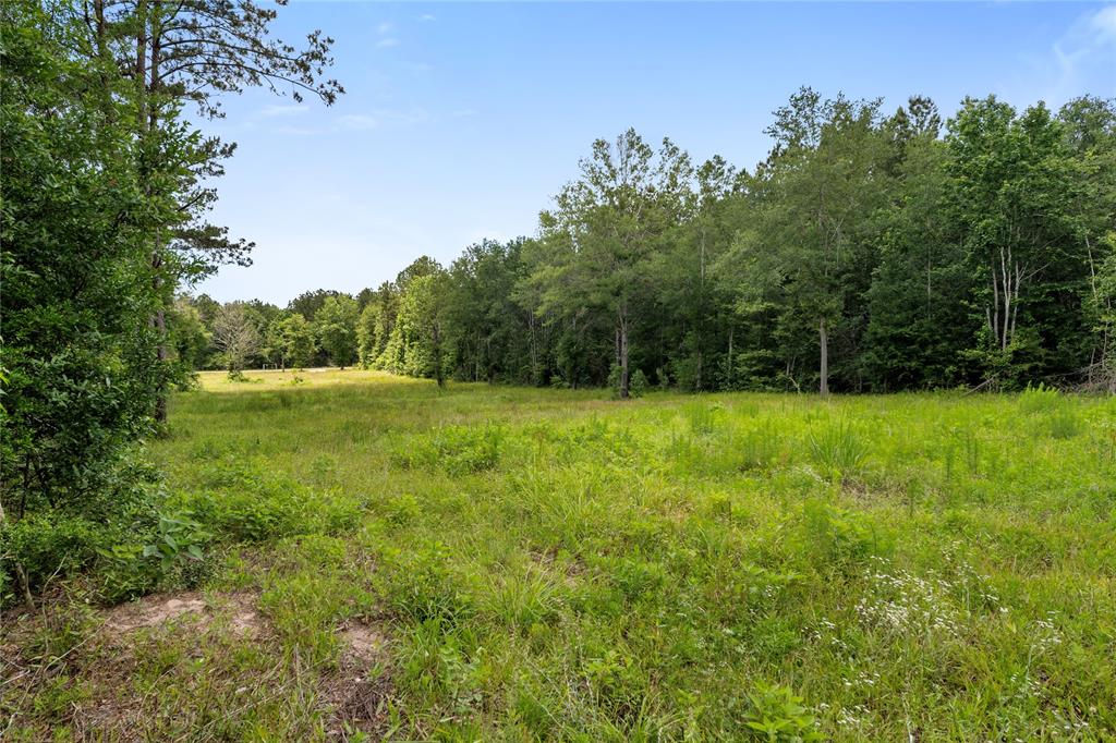 4578 N Duck Creek Road, Cleveland, Texas image 6