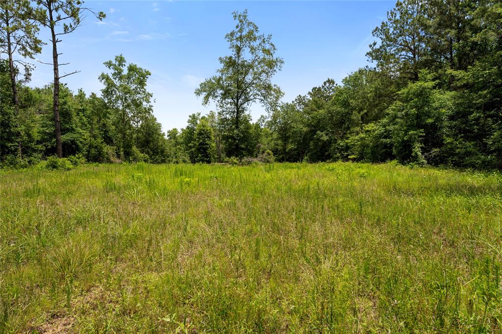 4578 N Duck Creek Road, Cleveland, Texas image 4