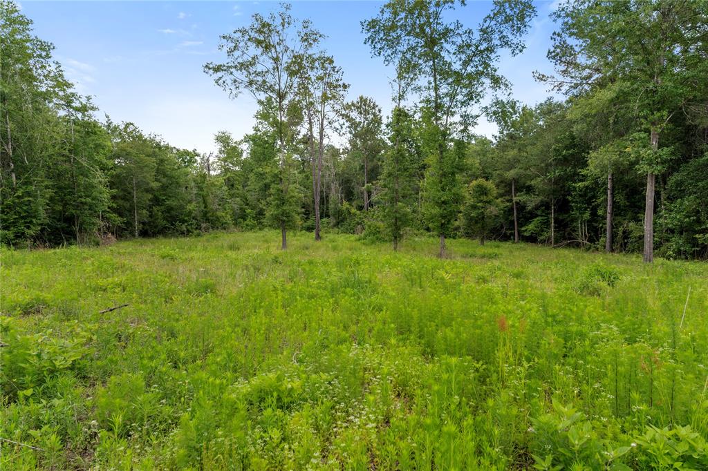 4578 N Duck Creek Road, Cleveland, Texas image 9