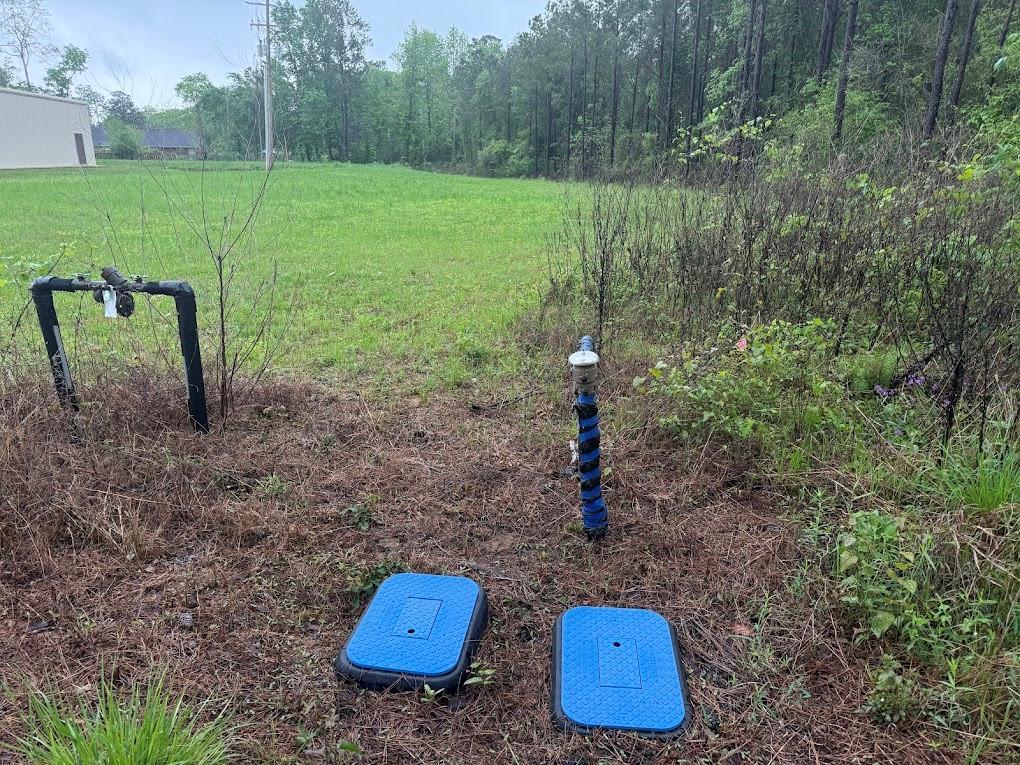 Pichetto Trail, Livingston, Texas image 11
