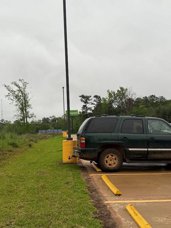 Pichetto Trail, Livingston, Texas image 40