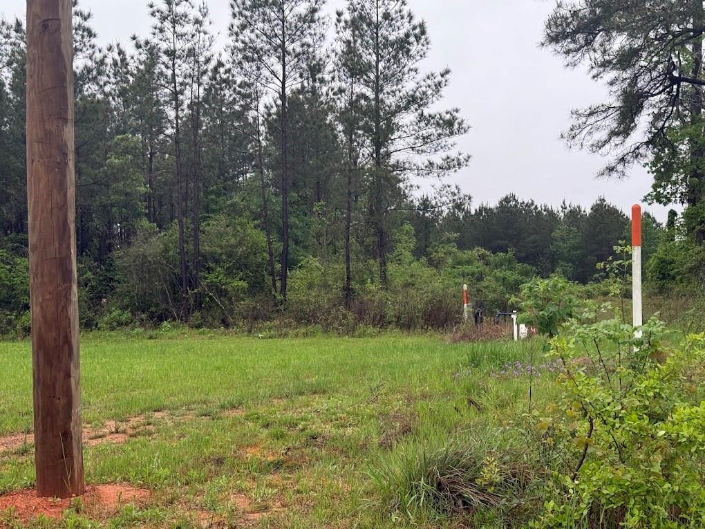 Pichetto Trail, Livingston, Texas image 39