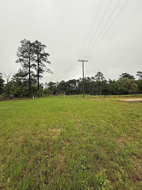 Pichetto Trail, Livingston, Texas image 28