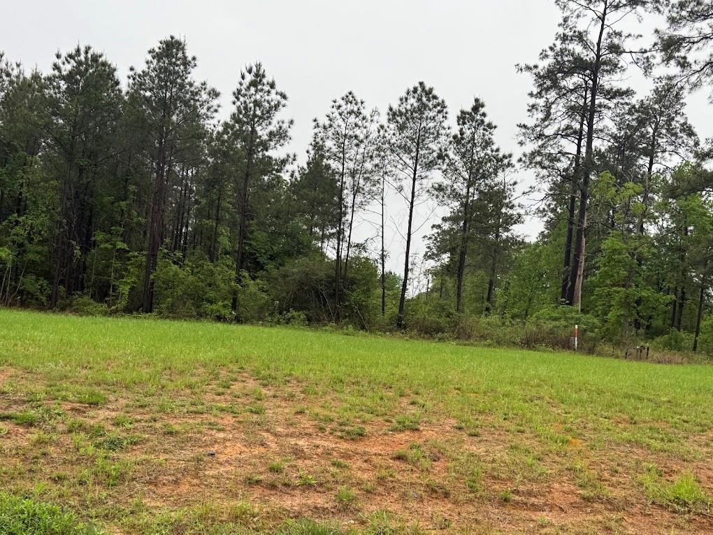 Pichetto Trail, Livingston, Texas image 43
