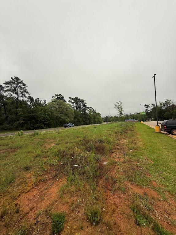 Pichetto Trail, Livingston, Texas image 33