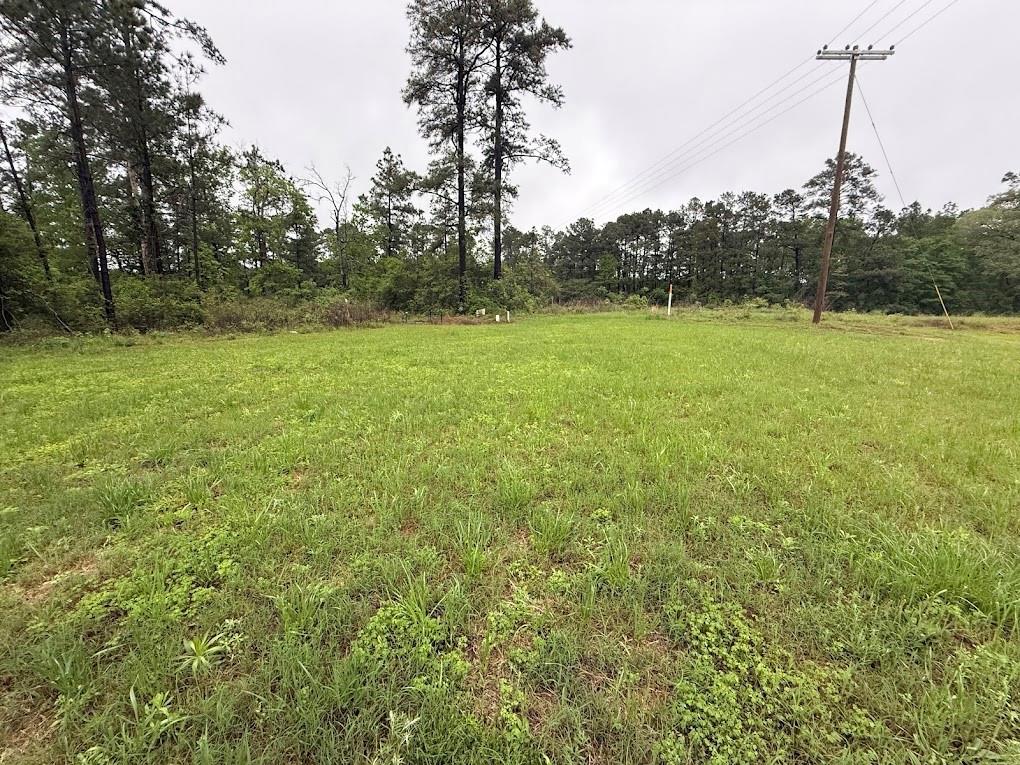 Pichetto Trail, Livingston, Texas image 26