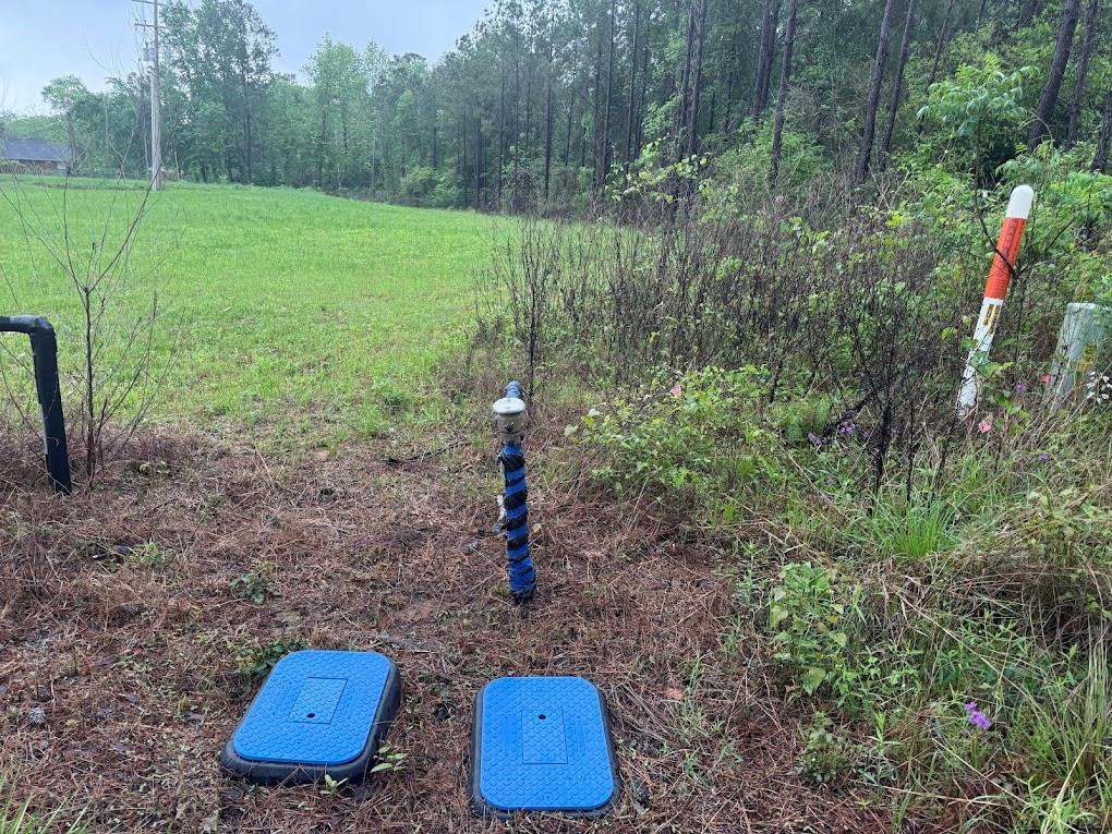 Pichetto Trail, Livingston, Texas image 10