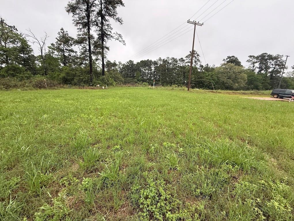 Pichetto Trail, Livingston, Texas image 25