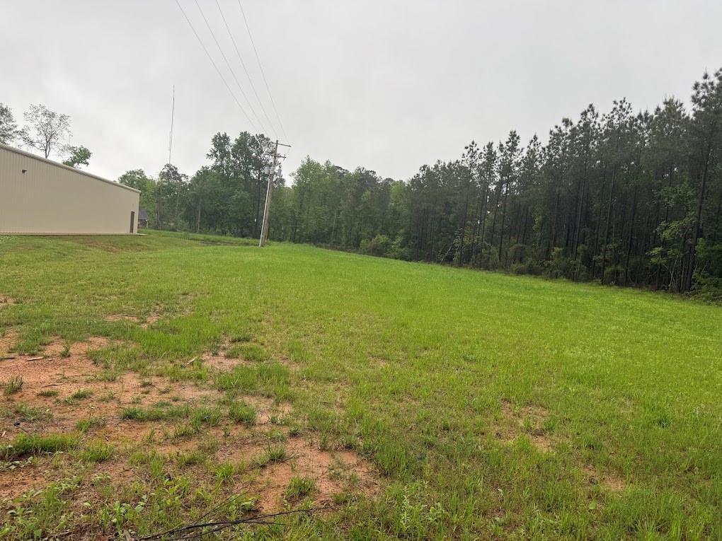 Pichetto Trail, Livingston, Texas image 7