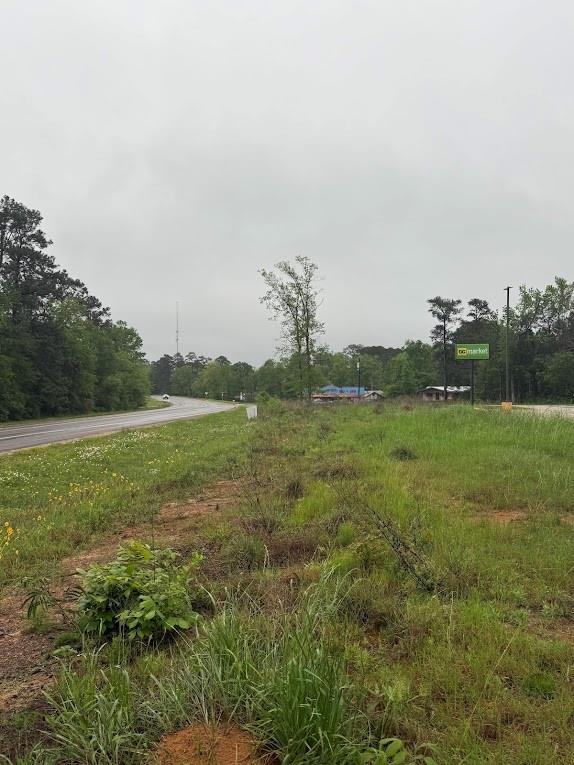 Pichetto Trail, Livingston, Texas image 36