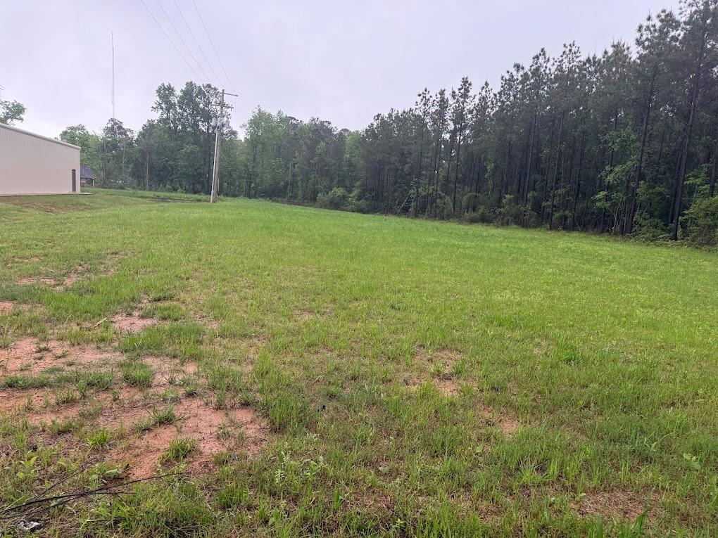 Pichetto Trail, Livingston, Texas image 4