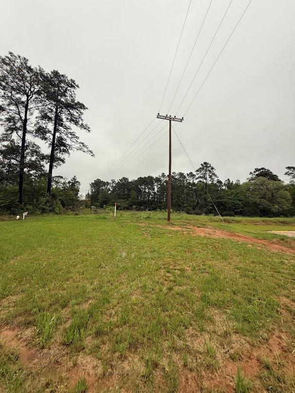 Pichetto Trail, Livingston, Texas image 31