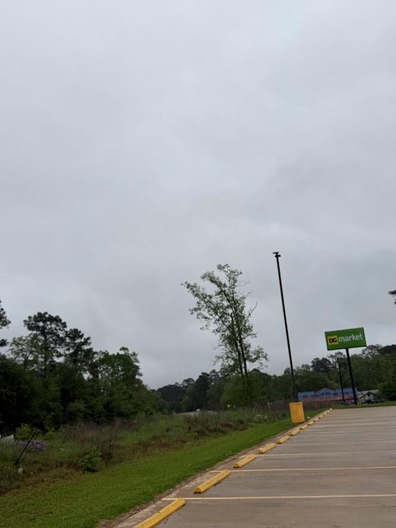 Pichetto Trail, Livingston, Texas image 41