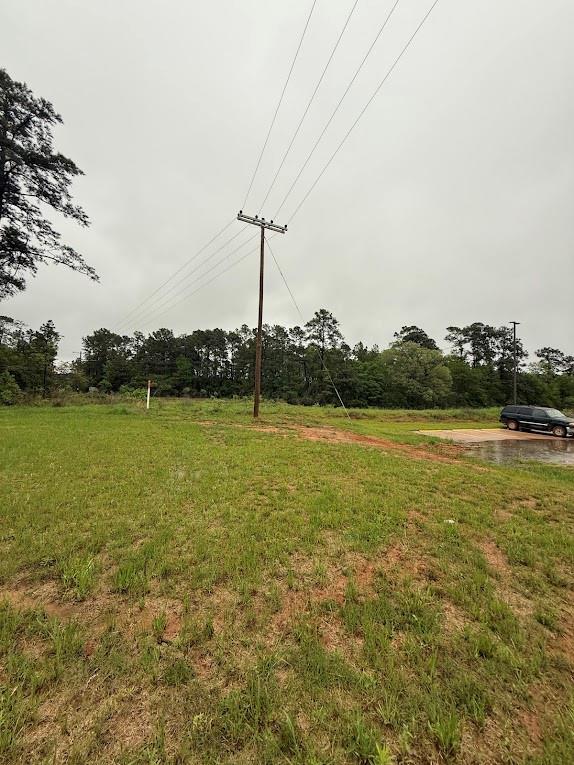 Pichetto Trail, Livingston, Texas image 30