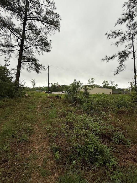 Pichetto Trail, Livingston, Texas image 16