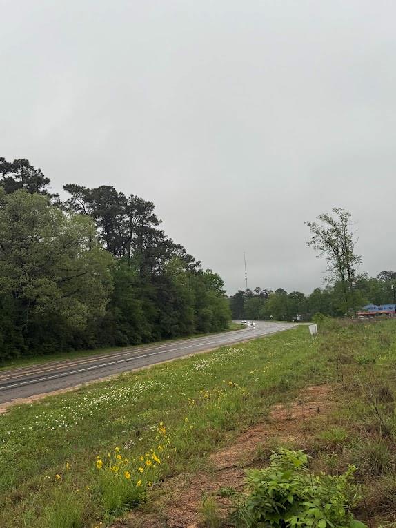 Pichetto Trail, Livingston, Texas image 34