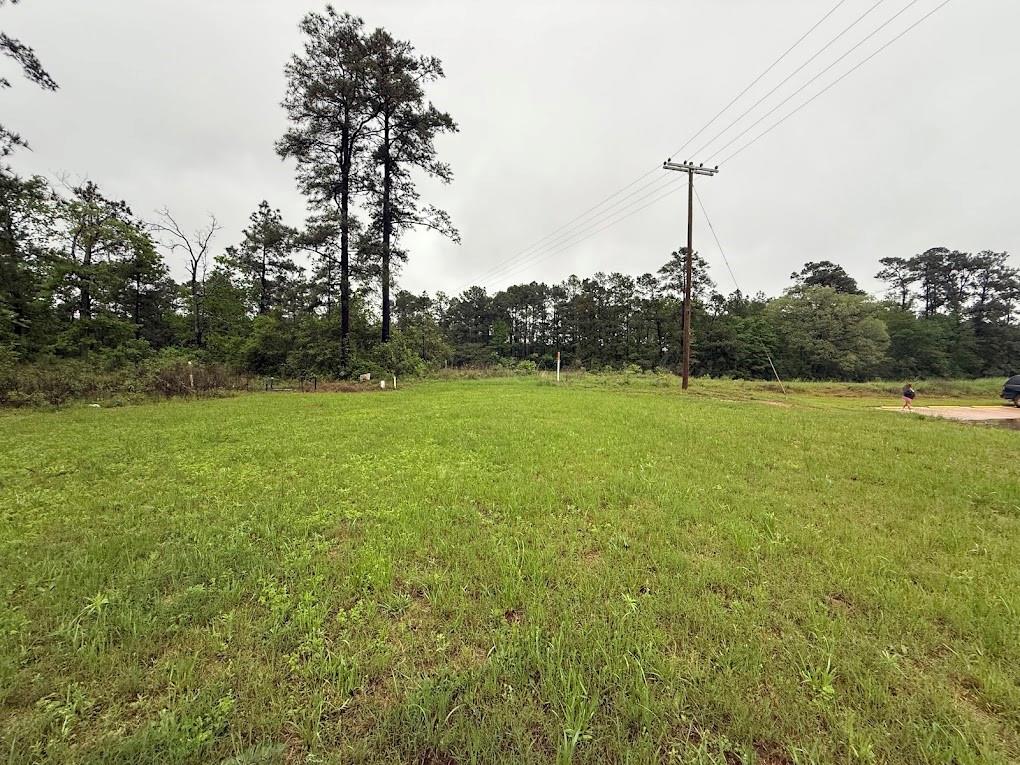 Pichetto Trail, Livingston, Texas image 23